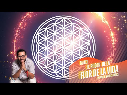 Taller El Poder de la Flor de la Vida